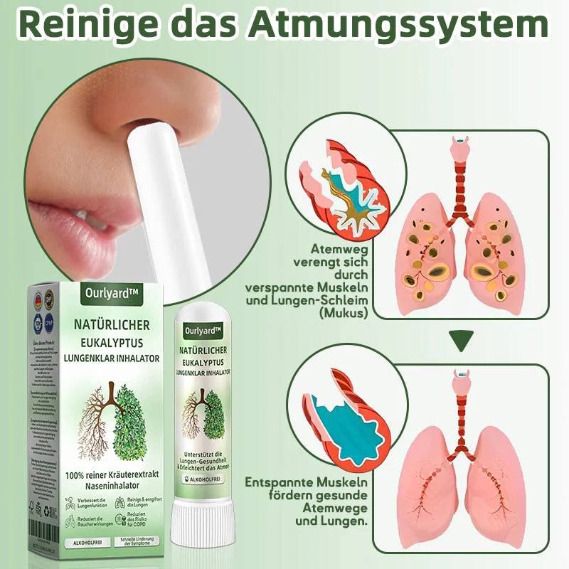 Vorschaubild 6