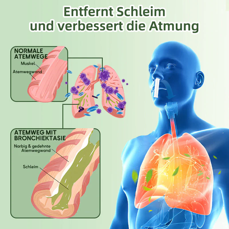 Vorschaubild 7